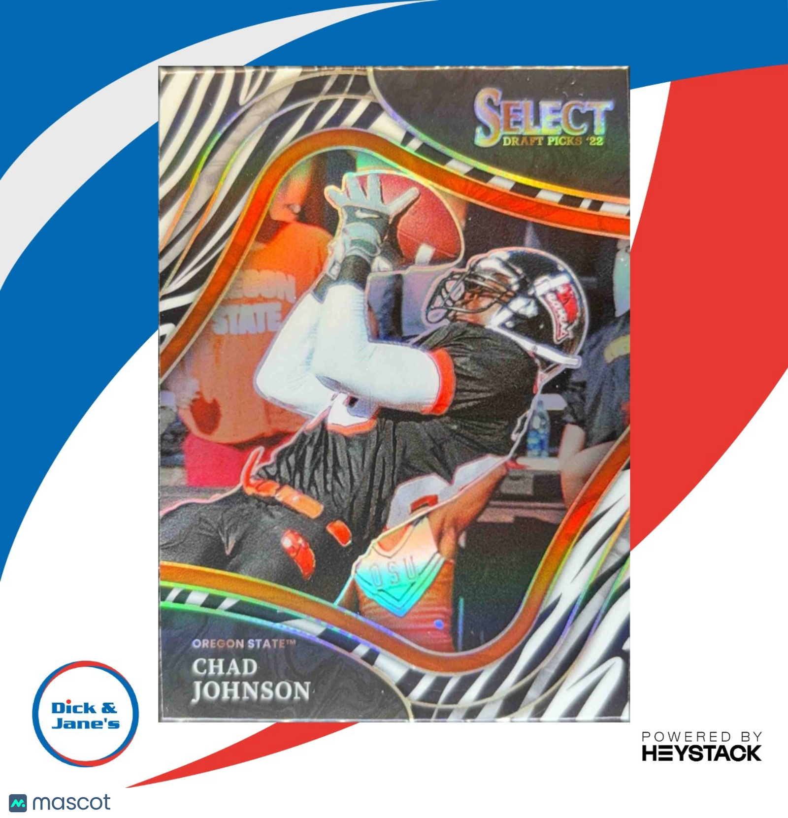 2022 Panini Select Draft Picks Chad Johnson Zebra Prizm #164 Field Level - Sports Cards