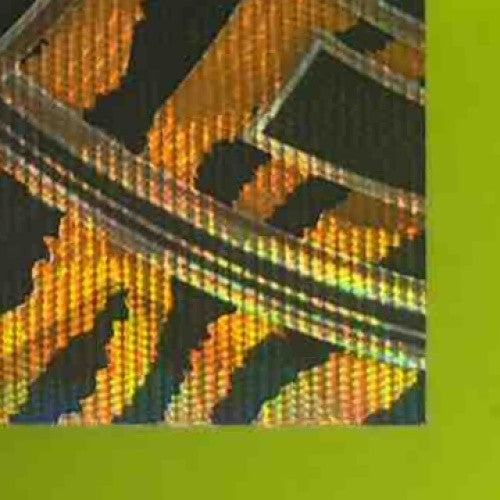 2023-24 Panini Select RJ Barrett Tiger Prizms #200 Premier Toronto Raptors - Sports Cards