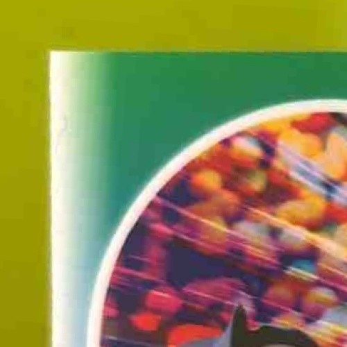 2023 Leaf Eclectic Michael Arroyo Flash of Color /5 #FC-MA1 Auto - Sports Cards