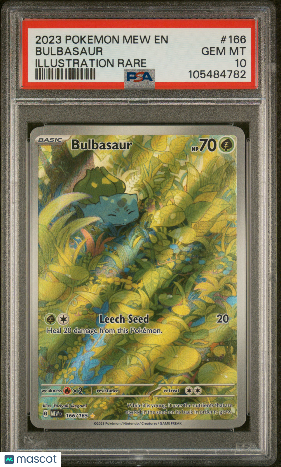 2023 Pokemon 151 Bulbasaur #166 Illustration Rare PSA 10 GEM MINT - Graded TCG/CCG