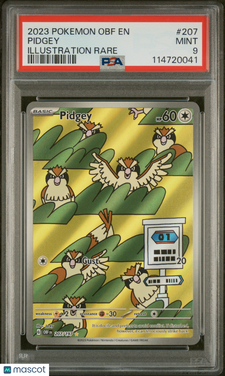 2023 Pokemon Obsidian Flames Pidgey #207 Illustration Rare PSA 9 - Graded TCG/CCG