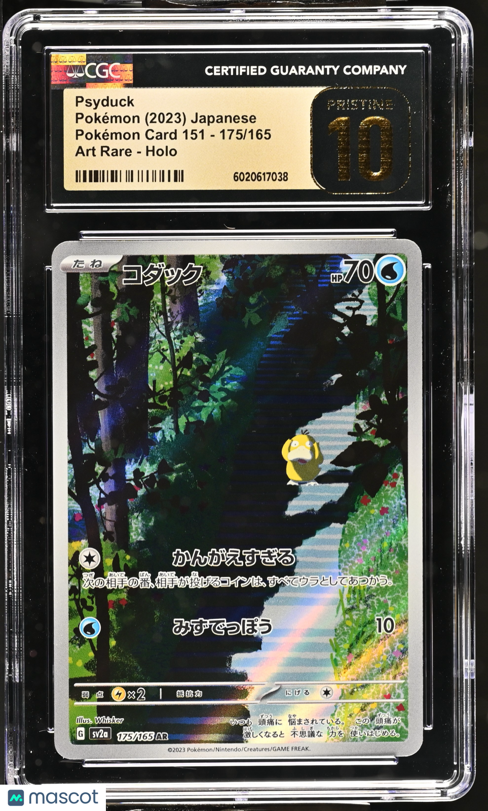 Pokemon / TCG Graded