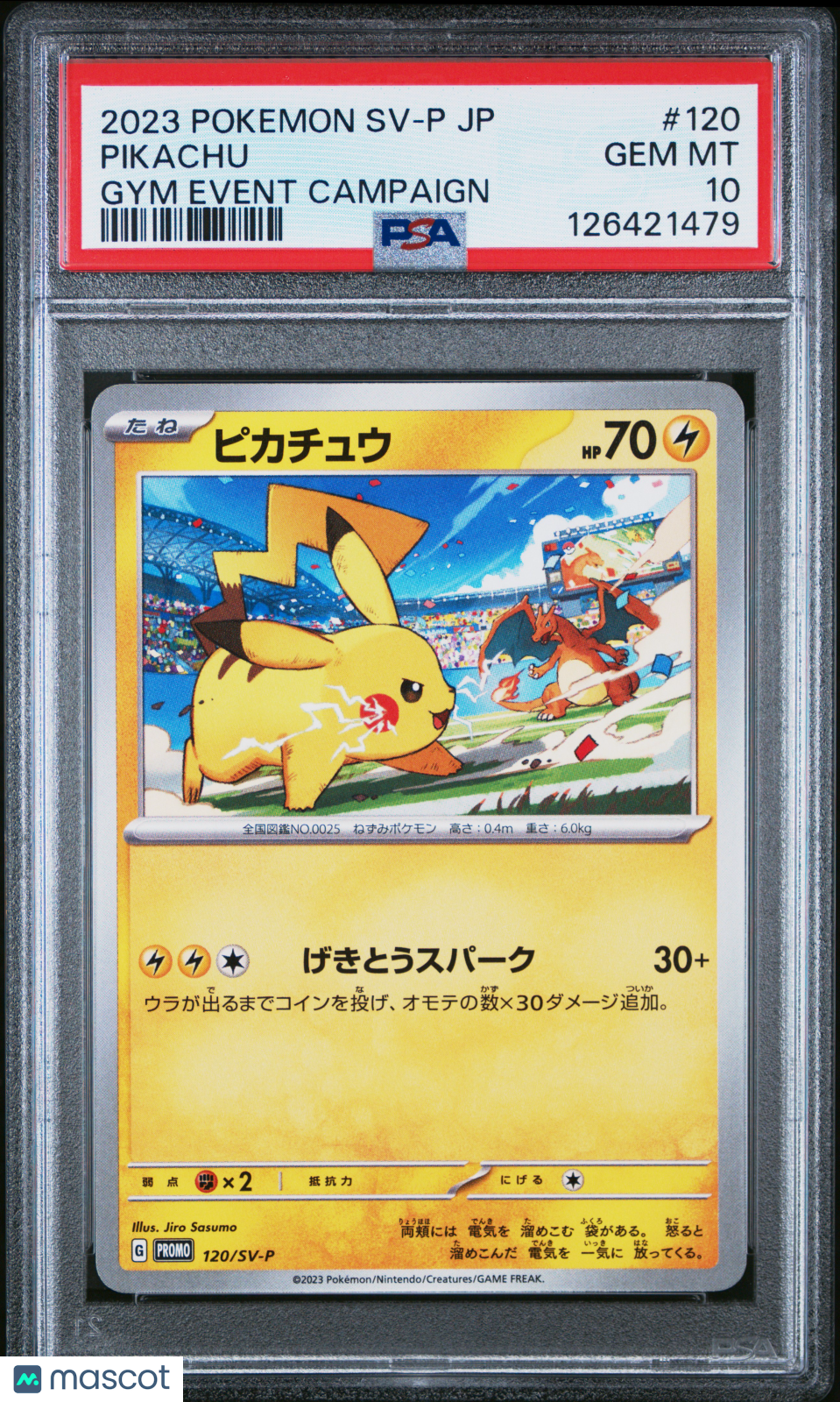 2023 Pokemon Promo Pikachu #120 Japanese Gym Event Campaign PSA 10 GEM MINT - Graded TCG/CCG