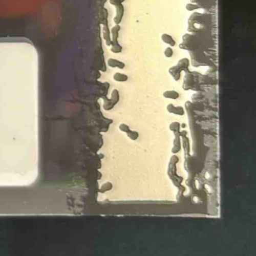 2023 Pro Set Pure Cam Ward Action Ink Auto Clear Bronze Spectrum #01/15 Rookie - Sports Cards