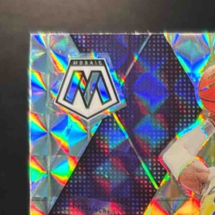 2024-25 Panini Mosaic LeBron James Silver Mosaic #180 Los Angeles Lakers - Sports Cards