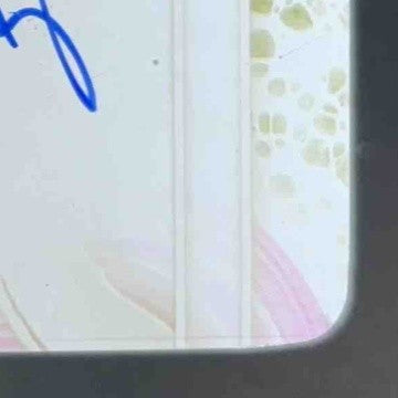 2024 Bowman’s Best Adrian Santana Best of 2024 Auto Yellow Printing Plate 1/1 - Sports Cards