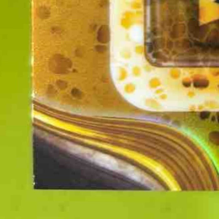 2024 Bowman’s Best Ethan Salas Prospects Gold Lava /50 San Diego Padres - Sports Cards