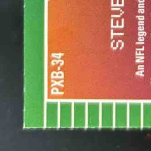 2024 Leaf Steve Young Pro Set Pixel Bowl ’89 Shimmer Silver /5 49ers - Sports Cards