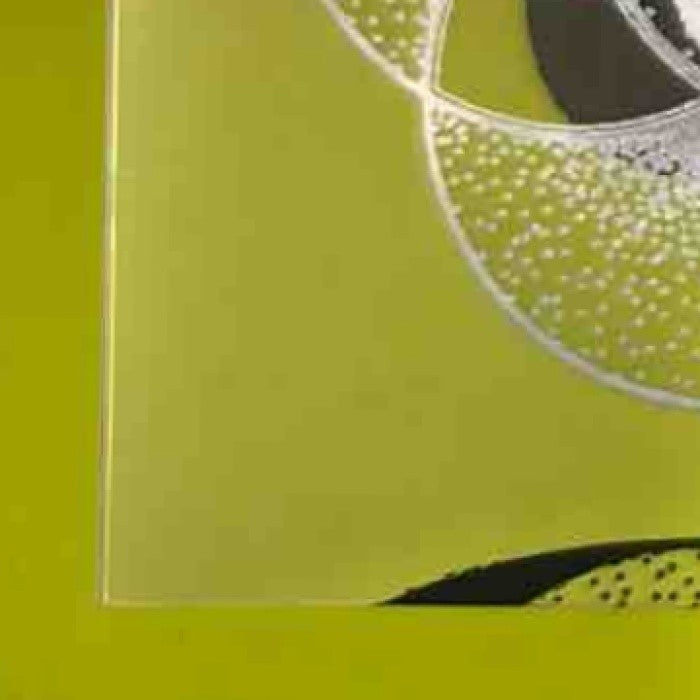 2024 Leaf Trinity PJ Morlando Clear Auto Black 7/7 #CA-PJM - Sports Cards