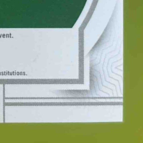 2024 National Treasures Collegiate Bo Nix Rookie Silhouettes /99 MEM RC Ducks - Sports Cards