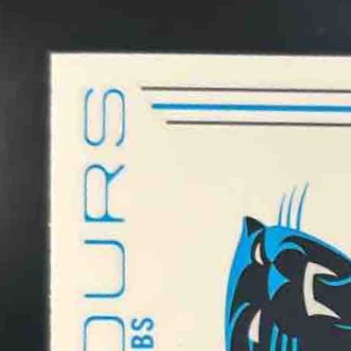 2024 Panini Phoenix Jonathon Brooks Contours Lazer RC Carolina Panthers - Sports Cards
