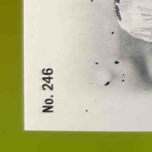 2024 Panini Prestige Donovan McNabb Green Premium Xtra Points /199 #246 Eagles - Sports Cards