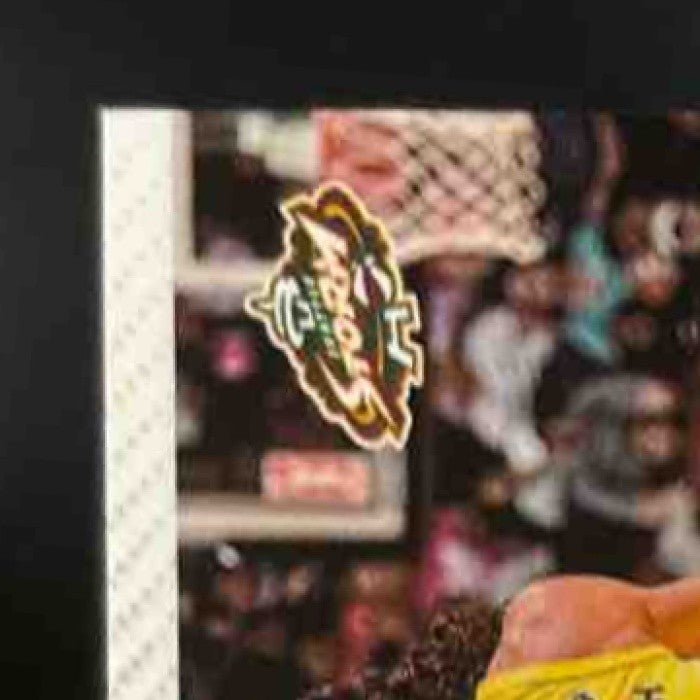 2024 Panini WNBA Prizm Sue Bird Throwback Signatures Mojo /25 Auto Seattle Storm - Sports Cards