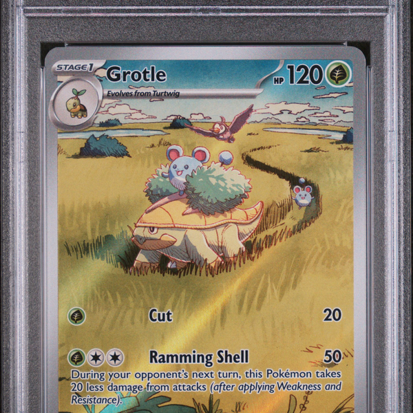 grotle pokemon card value 2024 Pokemon Tef EN-Temporal Forces Grotle #164
