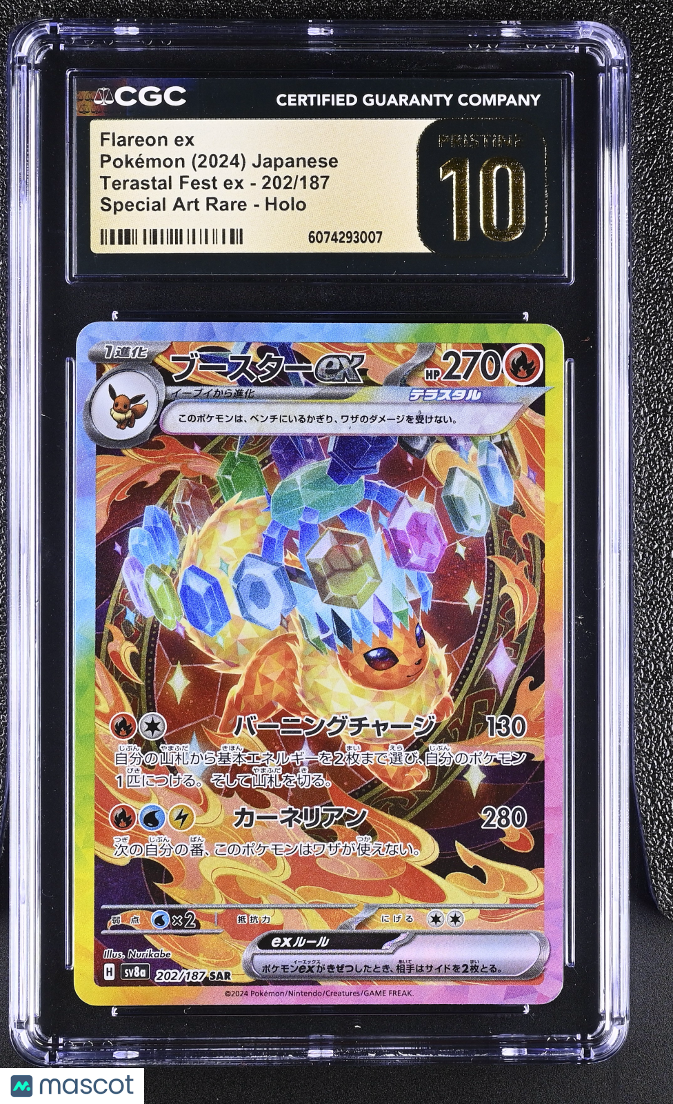 2024 Pokemon Terastal Fest EX Flareon ex #202/187 Japanese SAR CGC 10 PRISTINE - Graded TCG/CCG