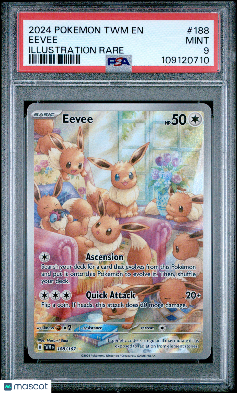 2024 Pokemon Twilight Masquerade Eevee #188 Illustration Rare PSA 9 MINT - Graded TCG/CCG