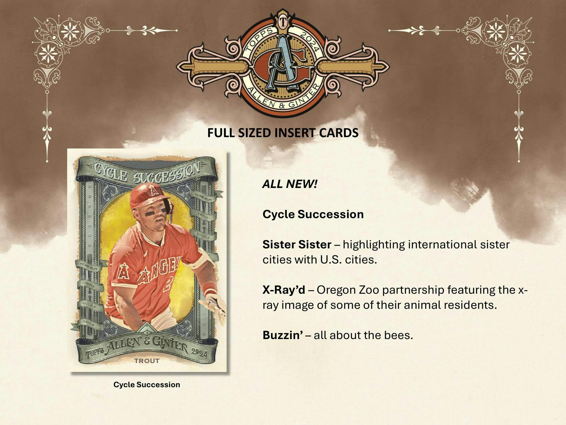 2024 Topps Allen & Ginter Baseball Blaster Box (Look for Gold Parallels) - Sports Collectibles