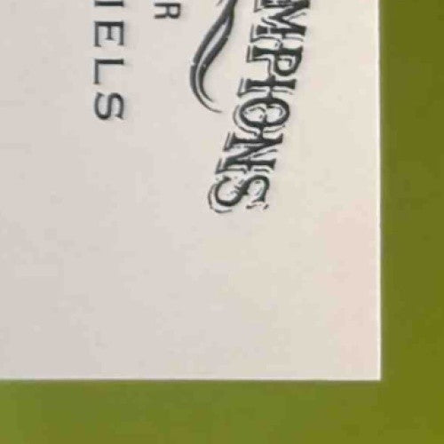 2024 Topps Allen & Ginter Jayden Daniels Silver Portrait Holo #293 - Sports Cards