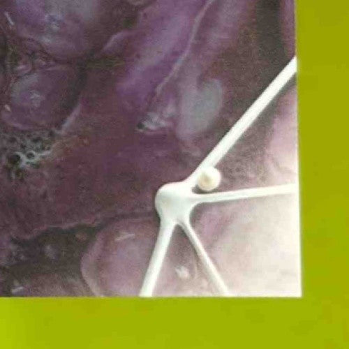 2024 Topps Resurgence Arian Foster Molecular Marks Auto Gold Surge /50 Texans - Sports Cards