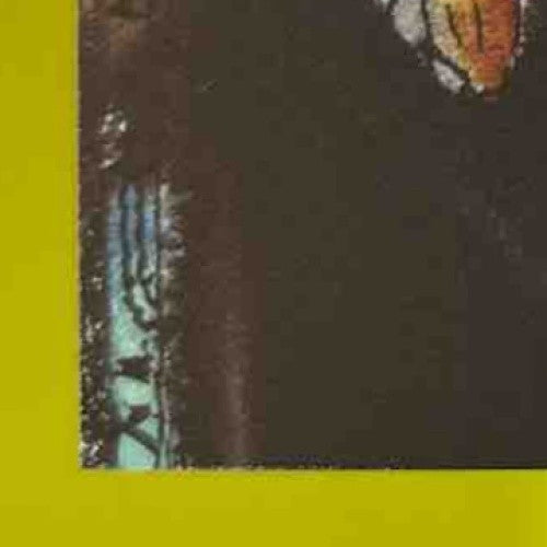 2024 Topps Spotlight by Andy Friedman Aaron Judge #11 New York Yankees - Sports Cards