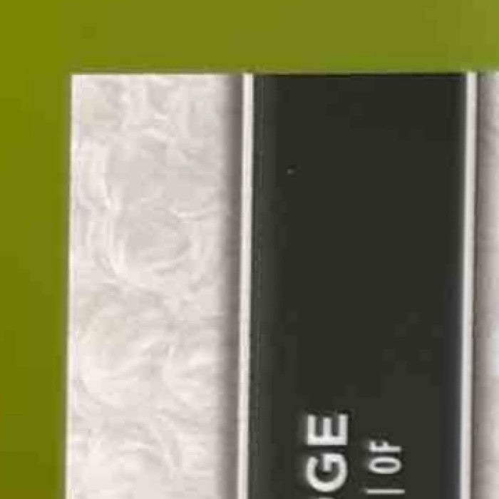 2024 Topps Tribute Aaron Judge Stamp of Approval Relics /75 New York Yankees - Sports Cards