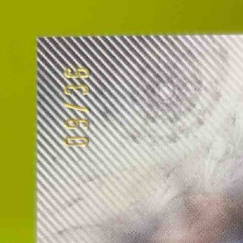 2024 Topps Triple Threads Freddie Freeman Relics /36 #TTR-FF2 Los Angeles Dodger - Sports Cards