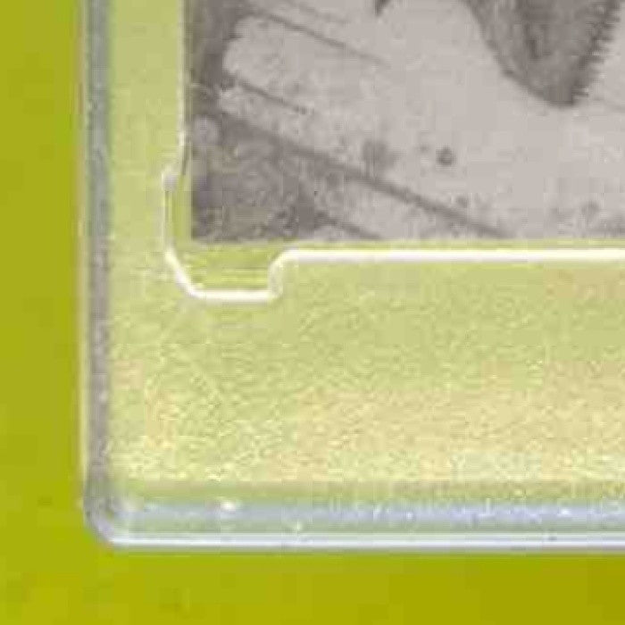 2024 Wild Card Alumination DinoMight Dillon Gabriel Stegosaurus /12 - Sports Cards