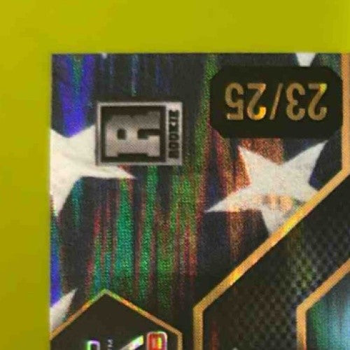 2024 Wild Card Automania American Cedric Johnson Hex Rainbow Flag /25 Rebels - Sports Cards