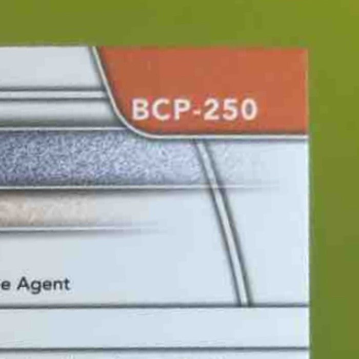 2025 Bowman Chrome Cris Rodriguez Purple Shimmer /250 1st Prospect Tigers - Sports Cards