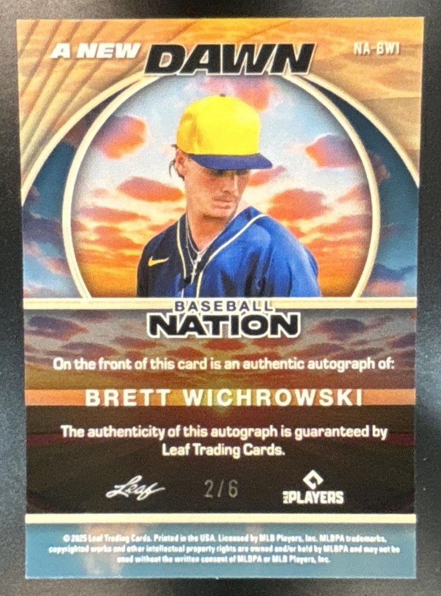 2025 Leaf Baseball Nation Brett Wichrowski New Dawn Auto Pink /6 #NA-BW1 - Sports Cards