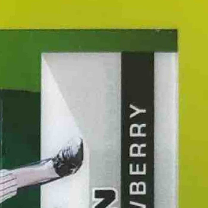 2025 Leaf Baseball Nation Darryl Strawberry Pure Hitter Auto Green /5 - Sports Cards