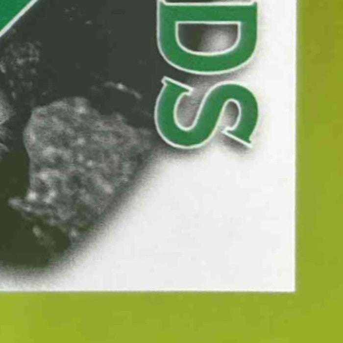 2025 Leaf Metal Caleb Lomavita Diamond in the Rough Auto Silver /49 - Sports Cards