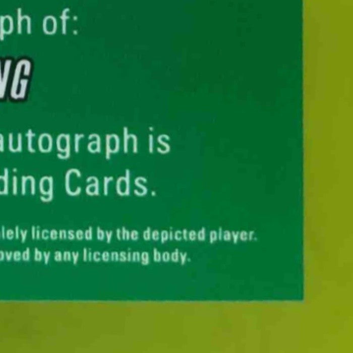 2025 Leaf Metal Quentin Young Diamond in the Rough Auto Silver /49 #DR-QY1 - Sports Cards