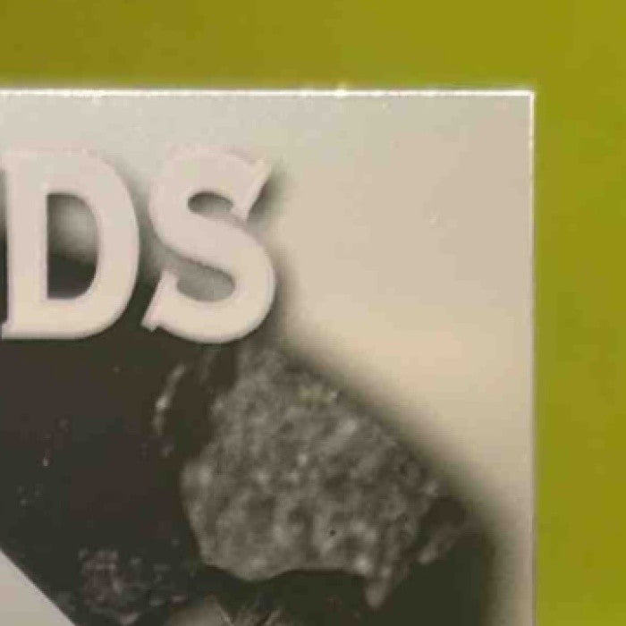 2025 Leaf Metal Quentin Young Diamond in the Rough Auto Silver /49 #DR-QY1 - Sports Cards