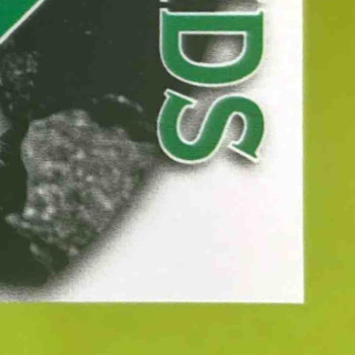 2025 Leaf Metal Rafael Flores Diamond in the Rough Auto Silver /49 #DR-RF1 - Sports Cards