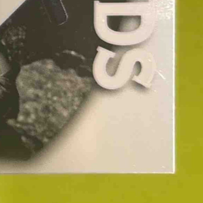 2025 Leaf Metal Rafael Flores Diamond in the Rough Auto Silver /49 #DR-RF1 - Sports Cards