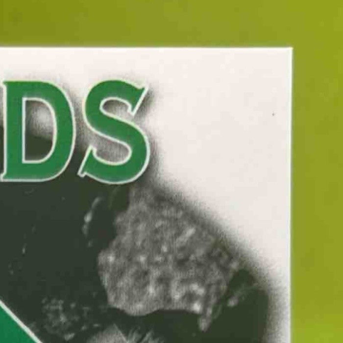 2025 Leaf Metal Ryan Waldschmidt Diamond in the Rough Auto Crystal Green 6/6 - Sports Cards