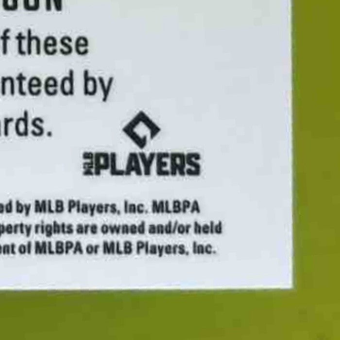 2025 Leaf Vivid Andrew Salas PJ Morlando Carter Johnson Triple Exposure Auto /3 - Sports Cards