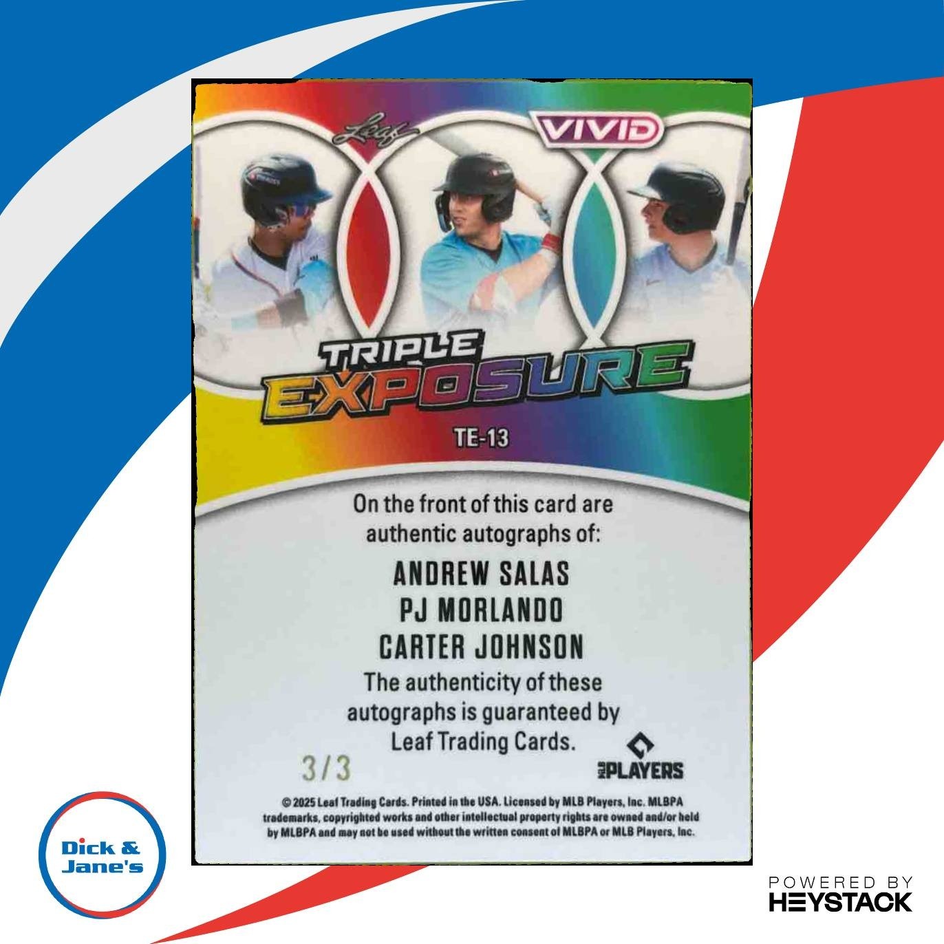 2025 Leaf Vivid Andrew Salas PJ Morlando Carter Johnson Triple Exposure Auto /3 - Sports Cards