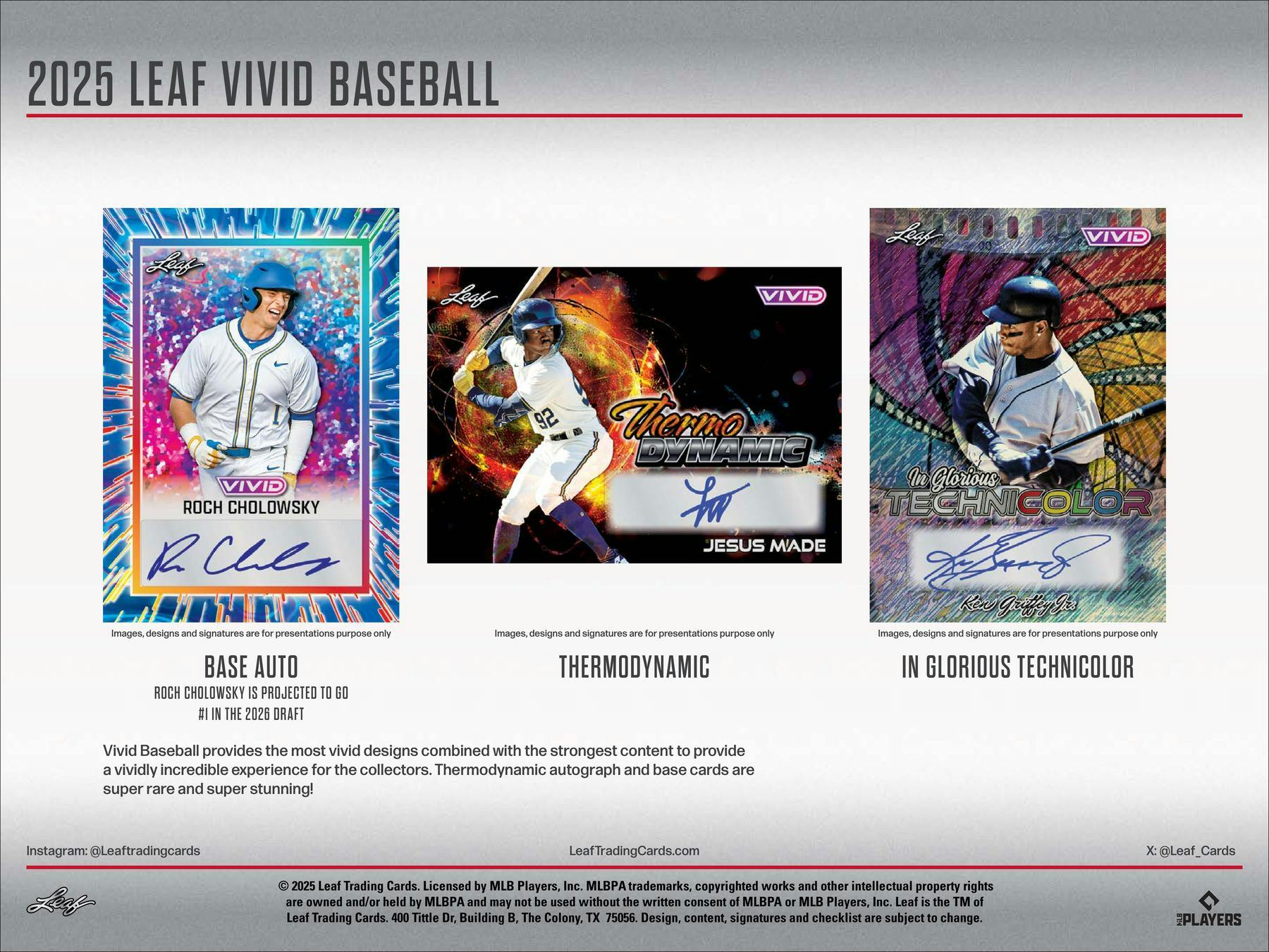 2025 Leaf Vivid Baseball Hobby Box (7 Autos) - MLB Hobby Box