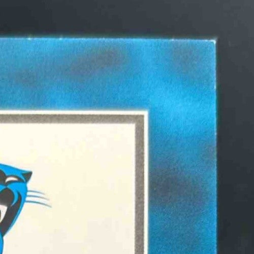 2025 Panini Donruss Tetairoa McMillan Rated Rookie Retro Auto 30/99 #3 Panthers - Sports Cards