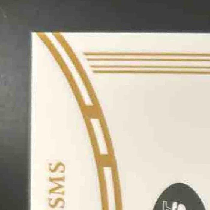 2025 Panini Flawless Santana Moss Game Used Patch Ruby /20 #38 MEM New York Jets - Sports Cards