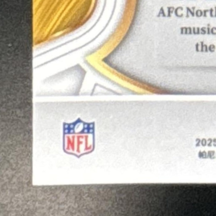 2025 Panini Select Aaron Rodgers Concourse Zebra Prizm #51 Pittsburgh Steelers - Sports Cards