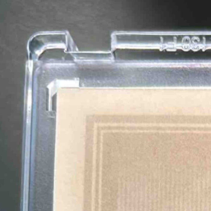 2025 Panini Three and Two Braylon Payne Prospect Dual Jerseys Full Count /32 #32 - Sports Cards