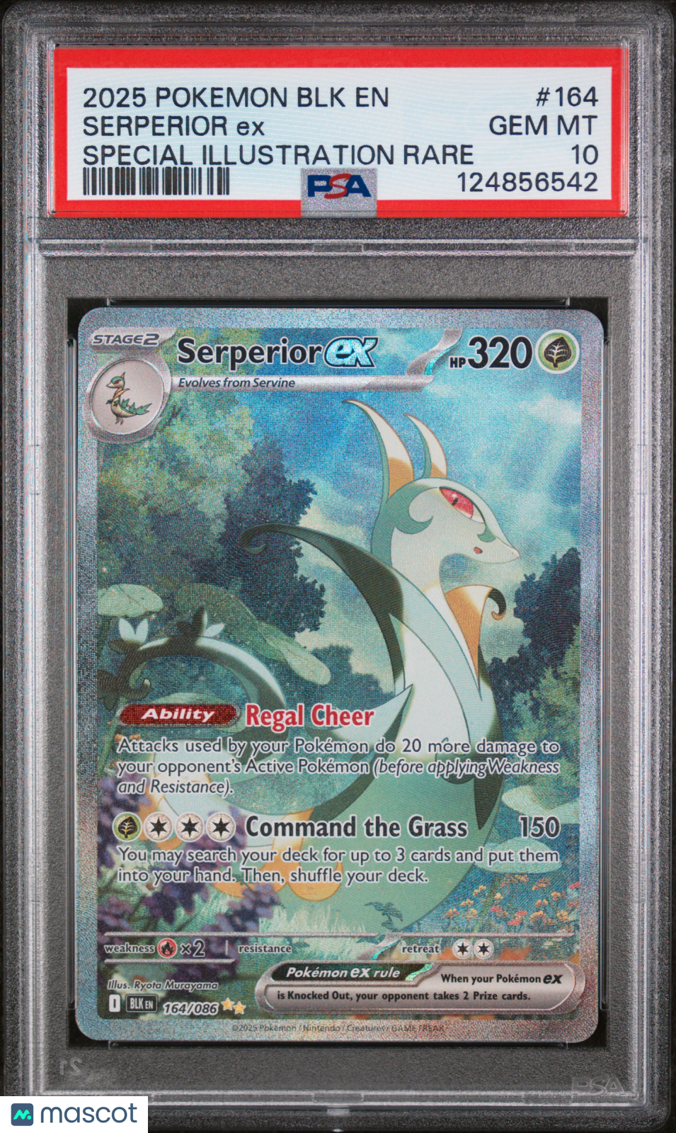 2025 Pokemon Black Bolt Serperior EX #164 SIR PSA 10 GEM MINT - Graded TCG/CCG