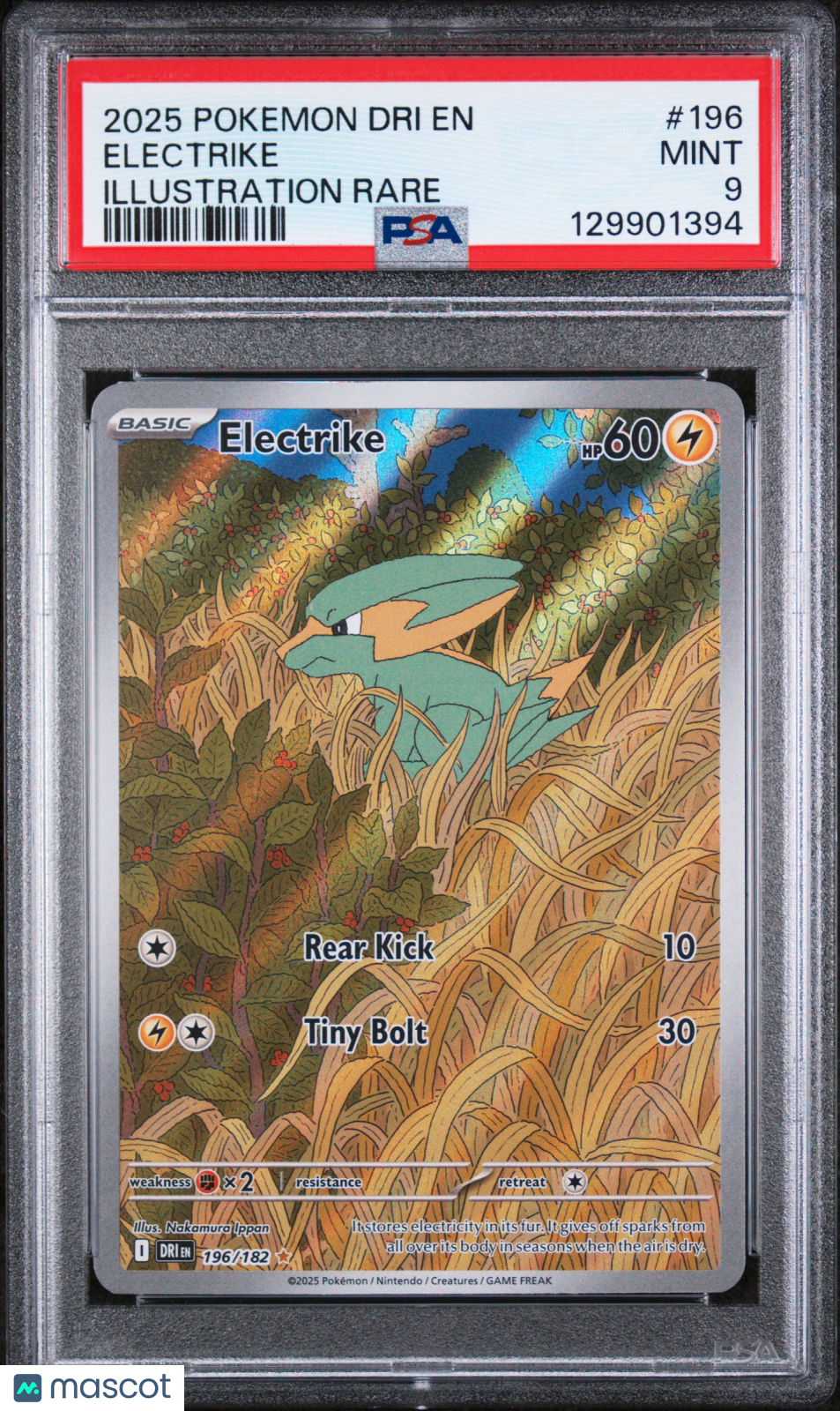 2025 Pokemon Destined Rivals Electrike #196 Illustration Rare PSA 9 MINT - Graded TCG/CCG