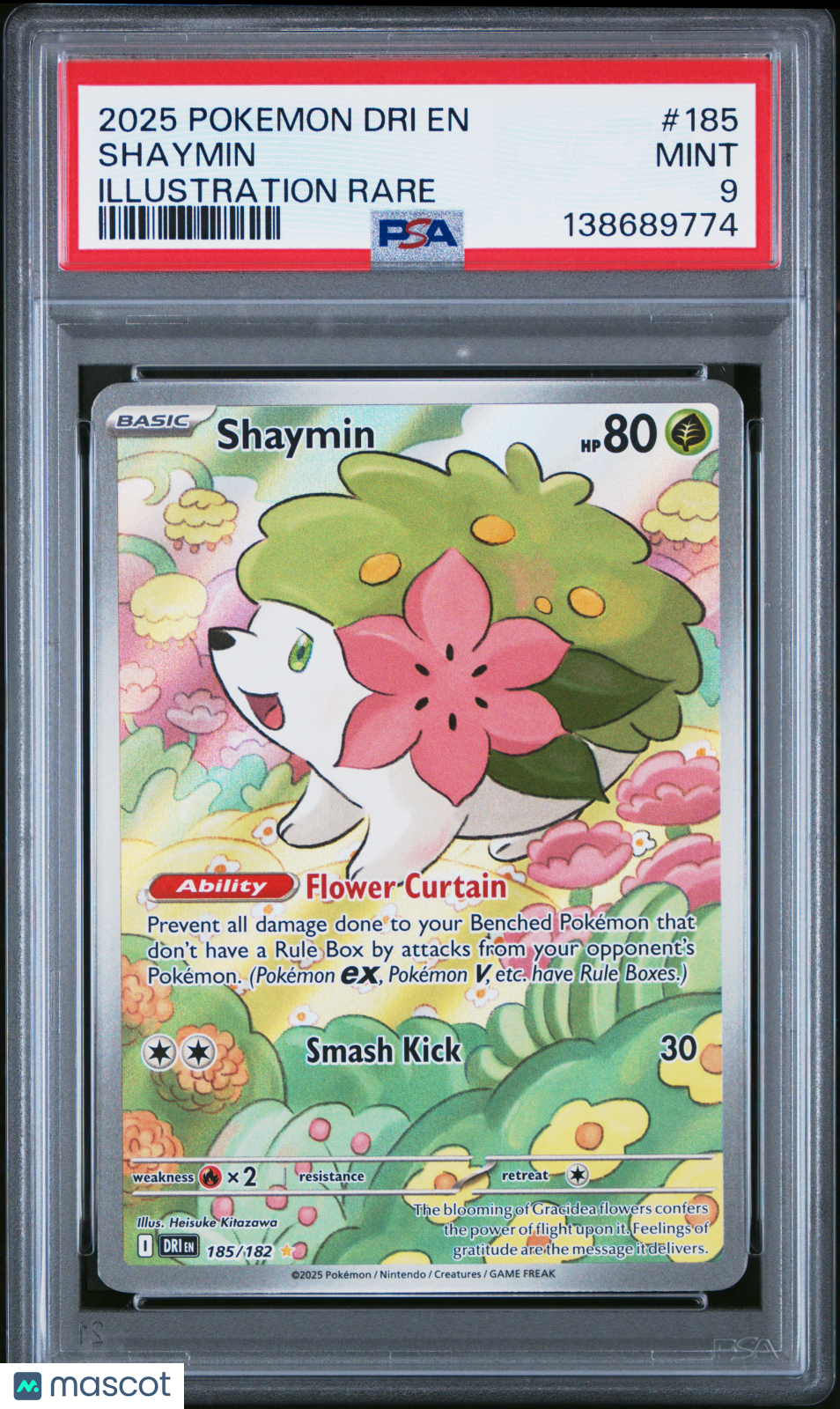 2025 Pokemon Dri EN-Destined Rivals Shaymin #185 Illustration Rare PSA 9 - Graded TCG/CCG