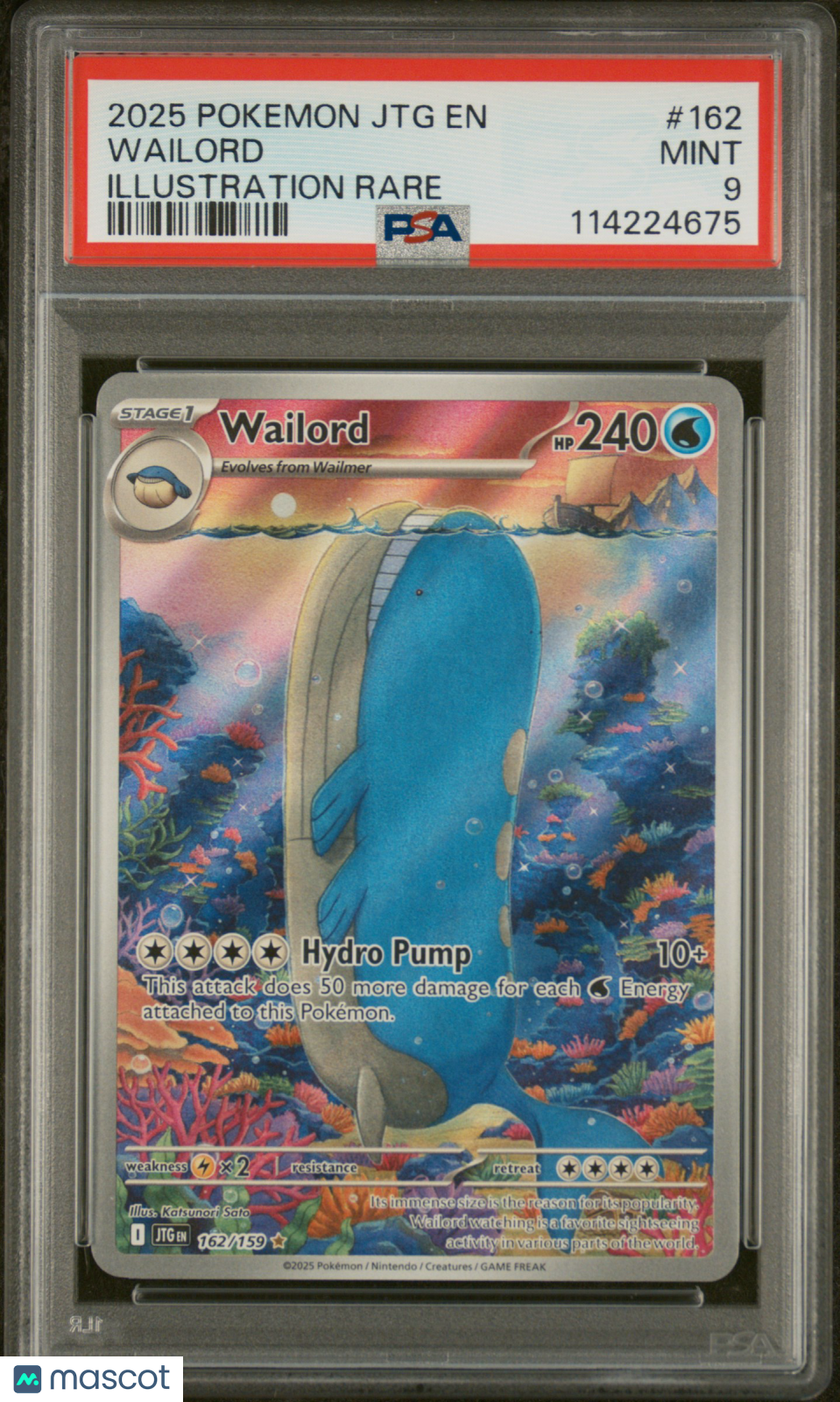 2025 Pokemon JTG EN-Journey Together Wailord #162 Illustration Rare PSA 9 - Graded TCG/CCG