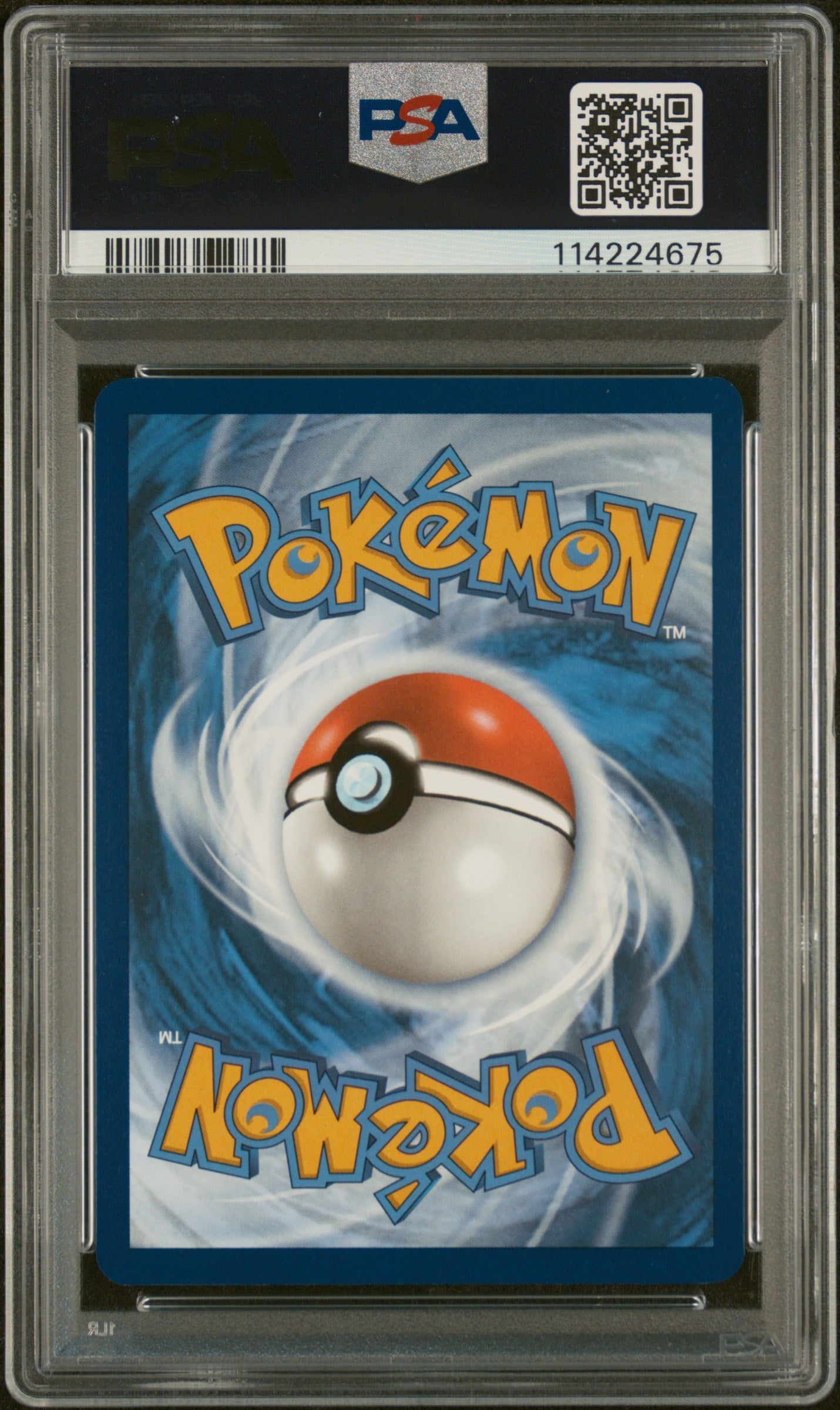 2025 Pokemon JTG EN-Journey Together Wailord #162 Illustration Rare PSA 9 - Graded TCG/CCG
