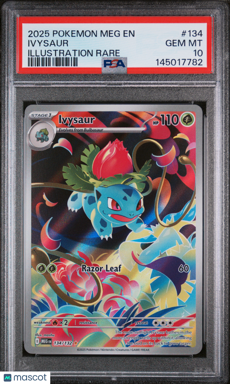 2025 Pokemon Meg EN-Mega Evolution Ivysaur #134 Illustration Rare PSA 10 - Graded TCG/CCG